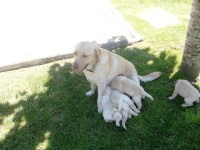 /album/fotos-recentes-/fotos-086-jpg/